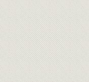 Website Hosting